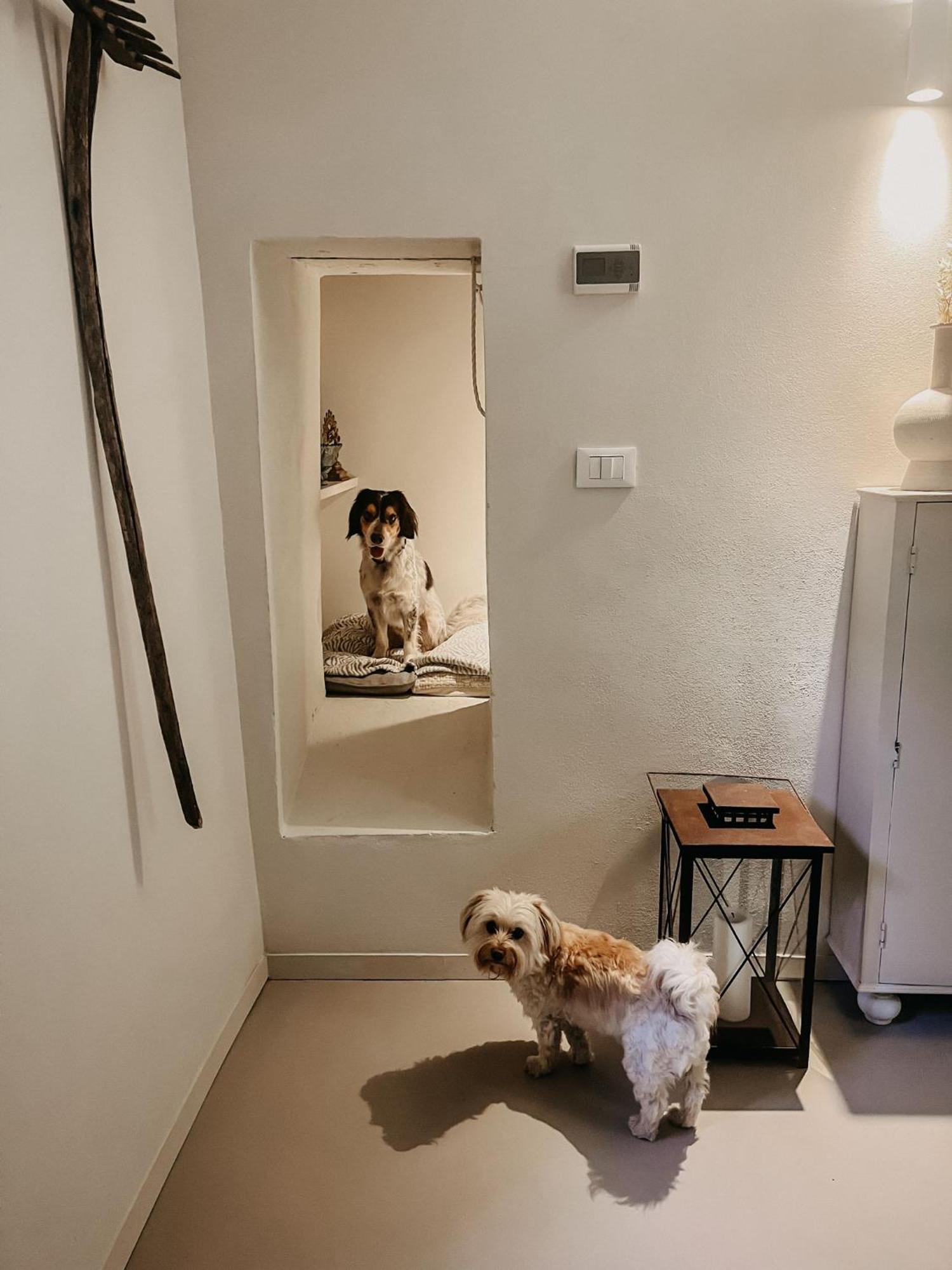 M.Sommer House Pistoia Bagian luar foto